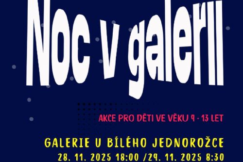 obrázek:Noc v galerii V.