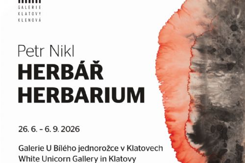 obrázek:Petr Nikl / Herbarium