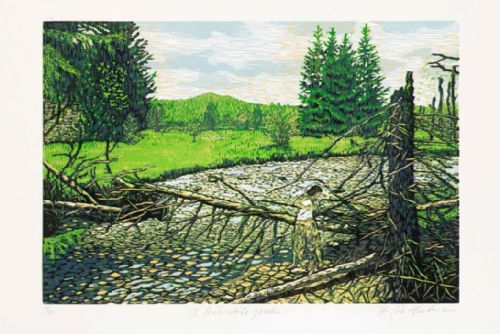 obrázek:Zbyněk Hraba, U Prášilského potoka, 2011