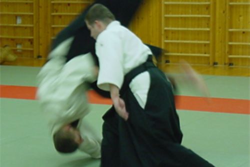 Obrázek - Aikido Plzeň