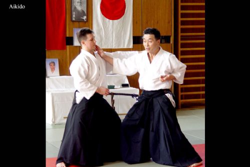 Obrázek - Aikido Plzeň