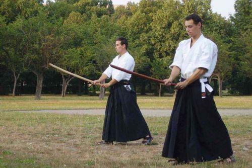 Obrázek - Aikido Plzeň