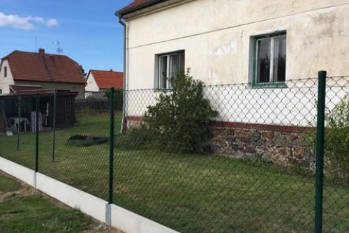 Obrázek - 