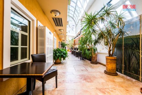 Obrázek - Podnájem, hotel, Plzeň - Centrum