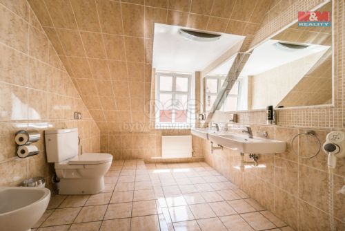 Obrázek - Podnájem, hotel, Plzeň - Centrum