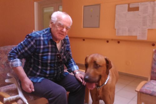 Obrázek - Plníme Vaše nevyslovená přání - pejsci