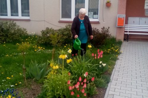 Obrázek - Plníme Vaše nevyslovená přání - záhonky a jaro v DPS Kožlany