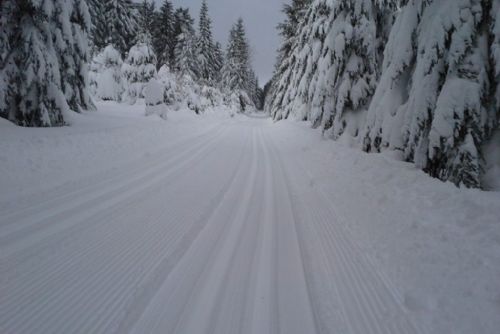 Foto: Když nasněží, v Brdech vzniknou desítky kilometrů běžkařských tras