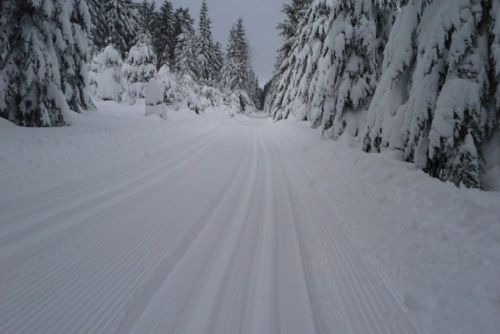 Foto: Jarní prázdniny startují, Šumava se plní