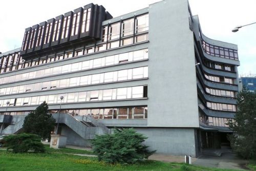 obrázek