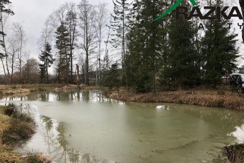 Obrázek - Chata s rybníčkem (7231 m2) - na  samotě, Chodová Planá - OB01219