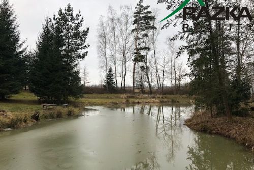 Obrázek - Chata s rybníčkem (7231 m2) - na  samotě, Chodová Planá - OB01219