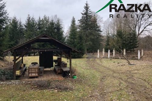 Obrázek - Chata s rybníčkem (7231 m2) - na  samotě, Chodová Planá - OB01219