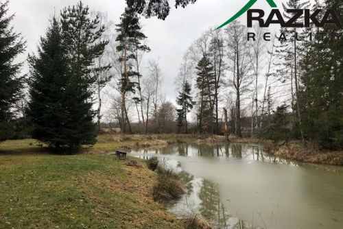 Obrázek - Chata s rybníčkem (7231 m2) - na  samotě, Chodová Planá - OB01219