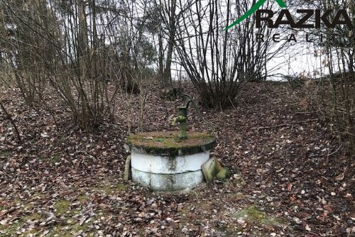 Obrázek - Chata s rybníčkem (7231 m2) - na  samotě, Chodová Planá - OB01219