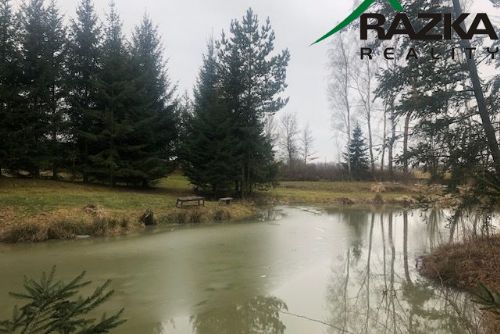 Obrázek - Chata s rybníčkem (7231 m2) - na  samotě, Chodová Planá - OB01219