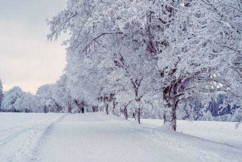 obrázek:Objevujte zimní přírodu: zábavné a nenáročné aktivity ve sněhu