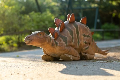 obrázek:První chodící robotický stegosaurus v ČR od 22.5. v plzeňském DinoParku
