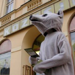 Manifestace proti zabíjení zvířat