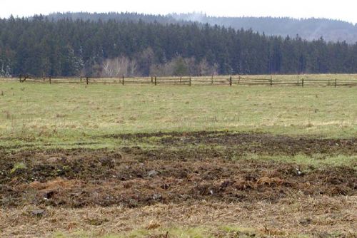 Foto: Agroprodukt Strážov v konkurzu