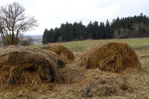 Foto: Obce v kraji nevědí, jak se zbavit sena