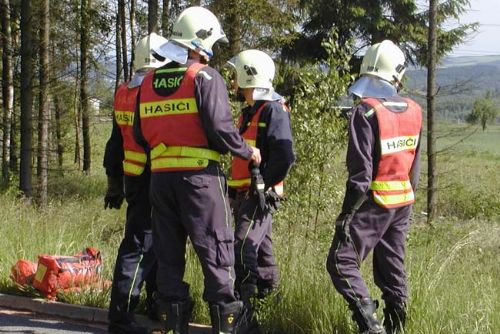 Foto: Ryby v Českém údolí asi zabil kormorán