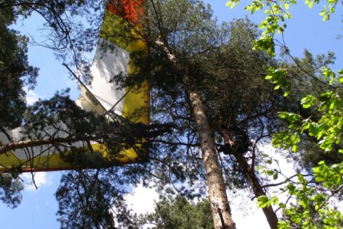 Foto: Hasiči sundavali rogalistku ze stromu