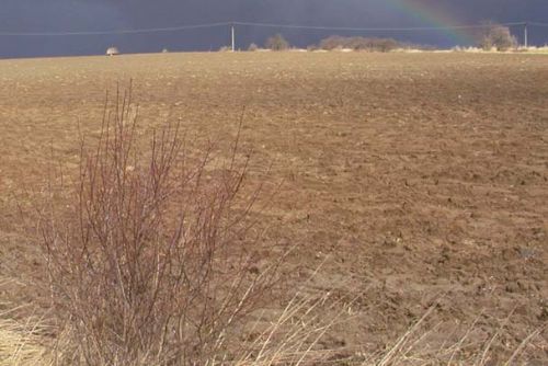 Foto: Kruhy v Kolinci: UFO nebo recese?
