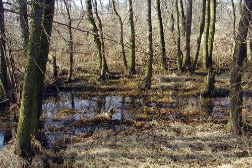 Foto: Kradl zřejmě chalupář