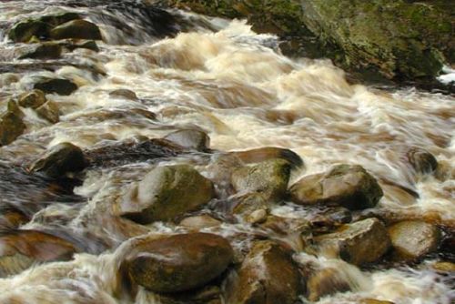 Foto: Šumavu letos navštívilo méně vodáků