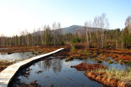 Foto: Šumava hlásí rekordní návštěvnost