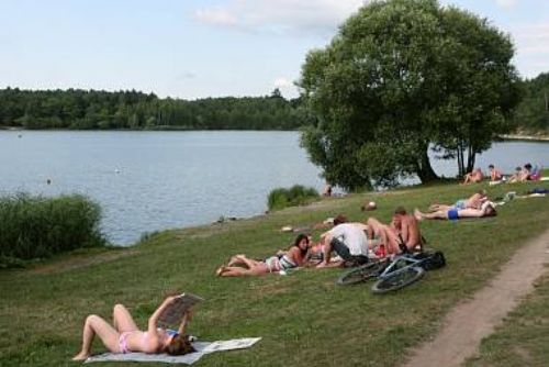 Foto: Uprostřed plzeňského rybníku Bolevák se vynořil ostrov