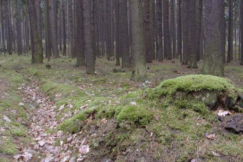 Foto: Nevybuchlá munice je stále součástí bývalých vojenských újezdů v šumavské Dobré Vodě a Brdech