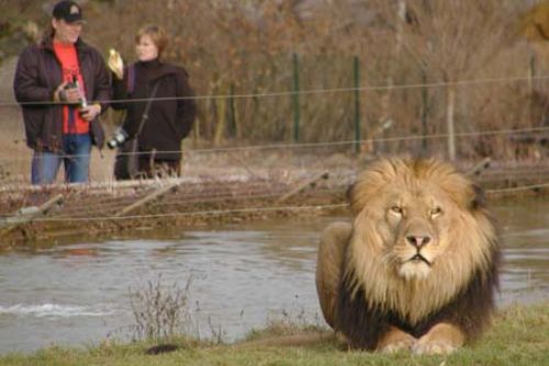 Foto: Zoo představuje knihu o Madagaskaru