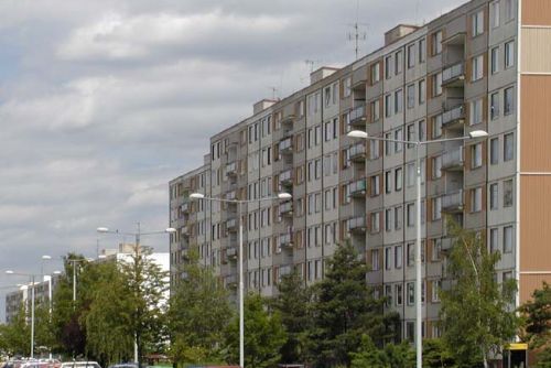 Foto: Plzeňané žádají o kácení stromů před paneláky