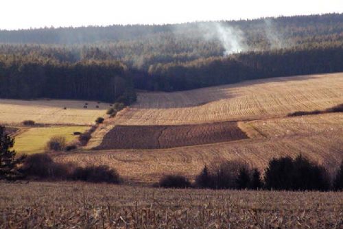 Foto: V Plzeňském kraji začaly žně