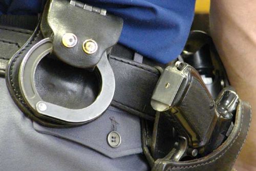 Foto: Policisté vyrazili na kontrolu honů