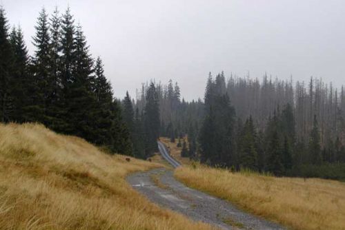 Foto: Tradiční výstup k šumavské Juránkově chatě se koná v sobotu