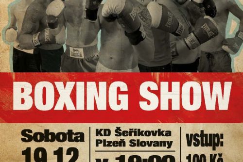 Foto: BOX SHOW 19.12.2015 od 19:00 hod. Šeříkovka