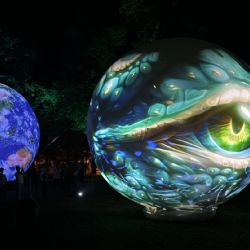 BLIK BLIK letos poprvé rozsvítí tři večery, tématem bude „Symbióza“