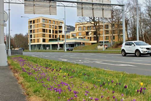 Foto: Lidická ulice uzavřena kvůli výměně asfaltu