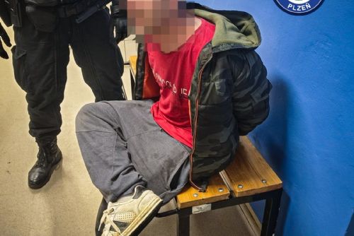 obrázek:Opilec s 2,55 promile řádil v McDonaldu. Policie ho vyvedla