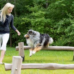 Park, hřiště nebo psí loučku? Plzeňáci hlasují o veřejném prostoru