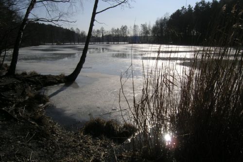 Foto: Plzeň vyčistí Malý Bolevecký rybník, bude i ke koupání