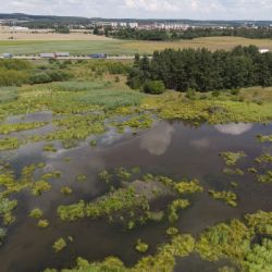 Plzeňská ZOO zahajuje kampaň Mokřady pro život