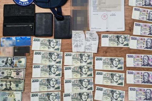 obrázek:Rekordní nález, poctivá nálezkyně v Plzni vrátila 44 tisíc