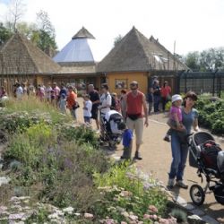 Sto let Zoo Plzeň, podívejte se na kalendář oslav a akcí pro rok 2026