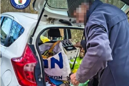 obrázek:U Ostende přistihli důchodce při vyhazování odpadu do lesa. Hájil se hnojením stromů