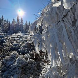VLS varují, námraza láme stromy v okolí vojenského újezdu Hradiště