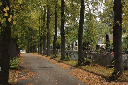 obrázek:Znásilnění na Sušicku. Žalobce žádá 7 let, obžalovaný vše popírá